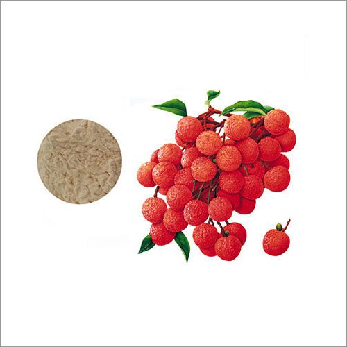 Spray Dried Litchi Powder